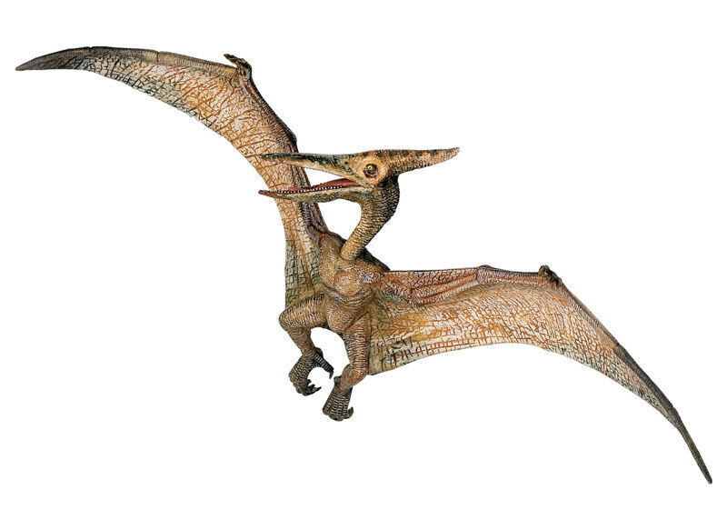 pterodáctilo pteranodon