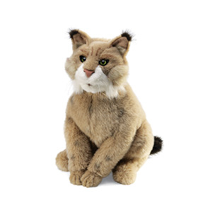 Bobcat(1)