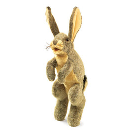 Rabbit Jack(1)