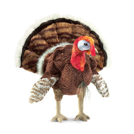 Bird Turkey(1)