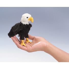Mini Eagle(4)(1)