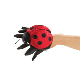 Insect Ladybug(1)