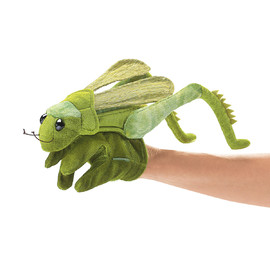 zzzInsect Grasshopper(1)