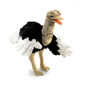 Bird Ostrich(1)