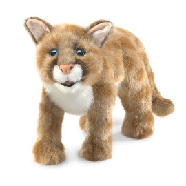 AnimalMountainLionCub((1)