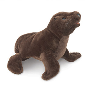 Sea Lion Pup(1)