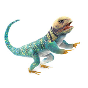 Insect Lizard, Collared(1)
