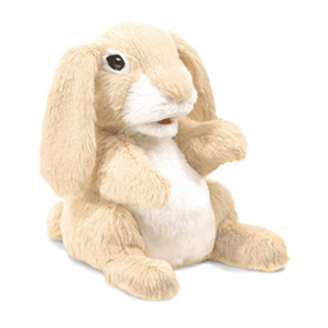Rabbit Sniffing