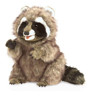 Animal Raccoon(1)