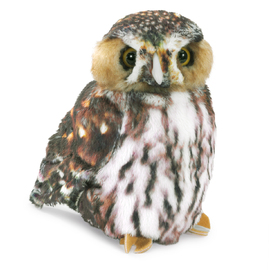 Owl, Pygmy Puppet MOQ2