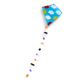 Cloud Kite(1)