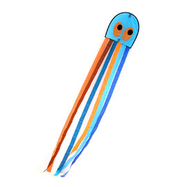 Octopus Kite(1)