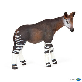 Okapi(1)