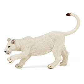 White Young Lioness(1)