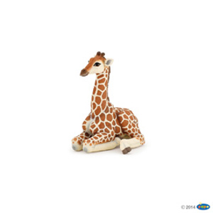 Lying giraffe calf(1)