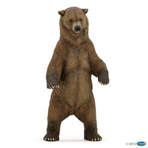#Grizzly bear(1)