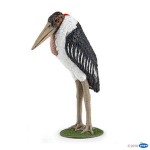 Marabou stork (1)