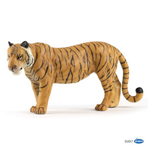 Large tigress(1)