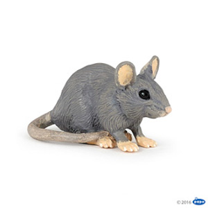 House mouse(1)