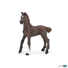 Horse DarkAlezanEnglis#Red(1)