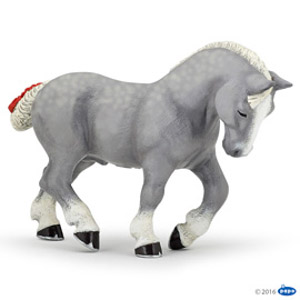 Gray Percheron(1)