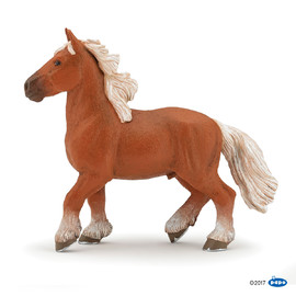 Comtois horse(1)