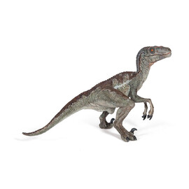 Velociraptor (1)