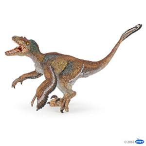 Feathered velociraptor(1)