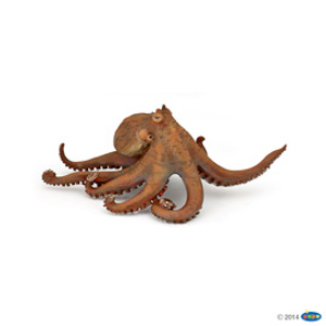 Octopus(1)