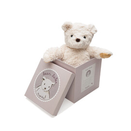 Darcy Bear (1)