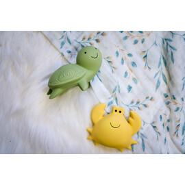 Tikiri Turtle Rubber Teether Rattle & Bath Toy in Retail Box