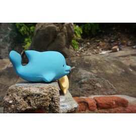 Tikiri Dolphin  Rubber Teether Rattle & Bath Toy in Retail Box