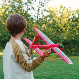 Djeco Fire plane
