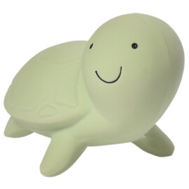 Tikiri Turtle Rubber Teether Rattle & Bath Toy in Retail Box