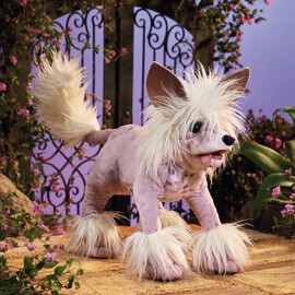 Folkmanis Chinese Crested Dog Puppet