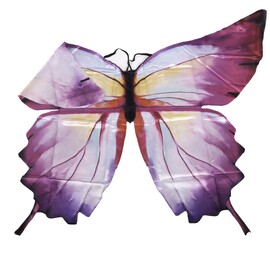 Great Pretenders Ombre Butterfly Soft Wings, Size 4-6