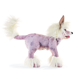 Folkmanis Chinese Crested Dog Puppet