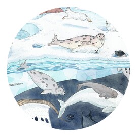 Djeco Polar Softness 54 Piece Jigsaw Puzzle