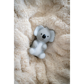Tikiri Koala Rubber Teether Rattle & Bath Toy in Retail Box