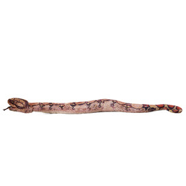 Folkmanis Boa Constrictor Puppet