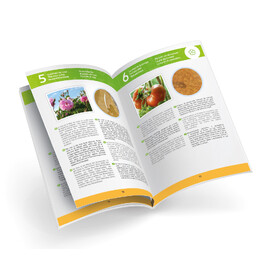 Buki France Microscope with 20 Experiments