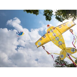  Djeco Maxi Kite 5 Pack - 3 Assorted Designs