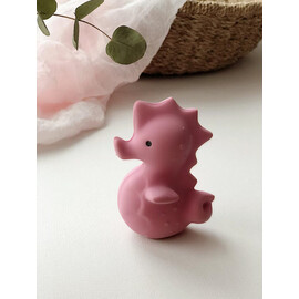 Tikiri Sea Horse  Rubber Teether Rattle & Bath Toy in Retail Box