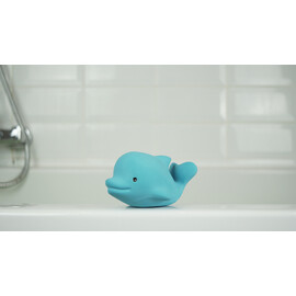Tikiri Dolphin  Rubber Teether Rattle & Bath Toy in Retail Box