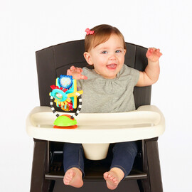 Sassy Baby Fishy Fascination Station