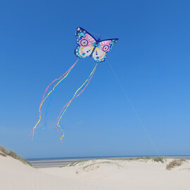  Djeco Maxi Kite 5 Pack - 3 Assorted Designs