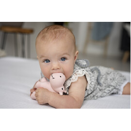 Tikiri Hippo Rubber Teether Rattle & Bath Toy in Retail Box