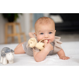 Tikiri Puppy Rubber Teether Rattle & Bath Toy in Retail Box