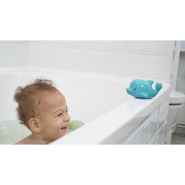 Tikiri Dolphin  Rubber Teether Rattle & Bath Toy in Retail Box