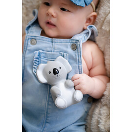 Tikiri Koala Rubber Teether Rattle & Bath Toy in Retail Box